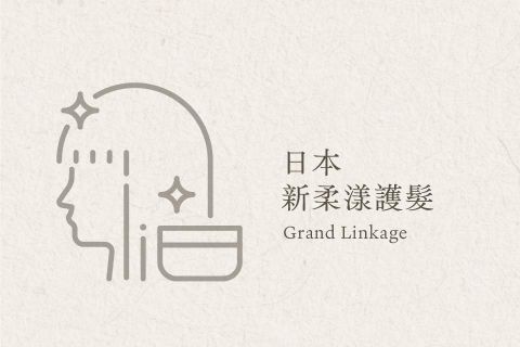 日本 新柔漾護髮