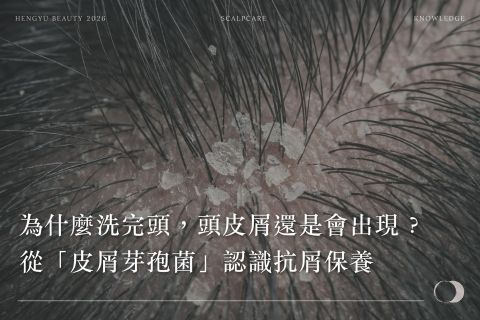 為什麼洗完頭,頭皮屑還是會出現? 從「皮屑芽孢菌」認識抗屑保養