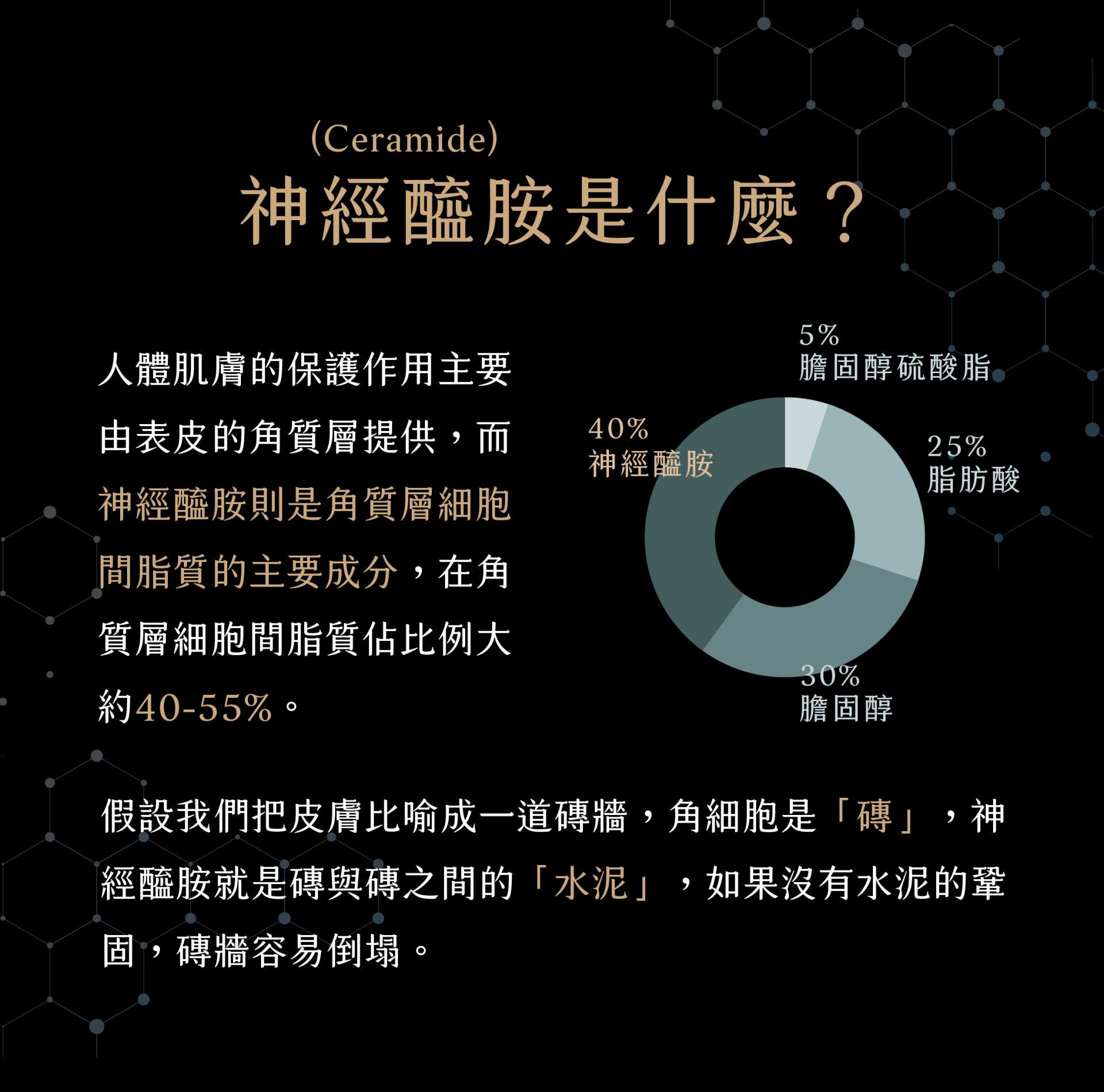 神經醯氨03-介紹 神經醯氨03-介紹