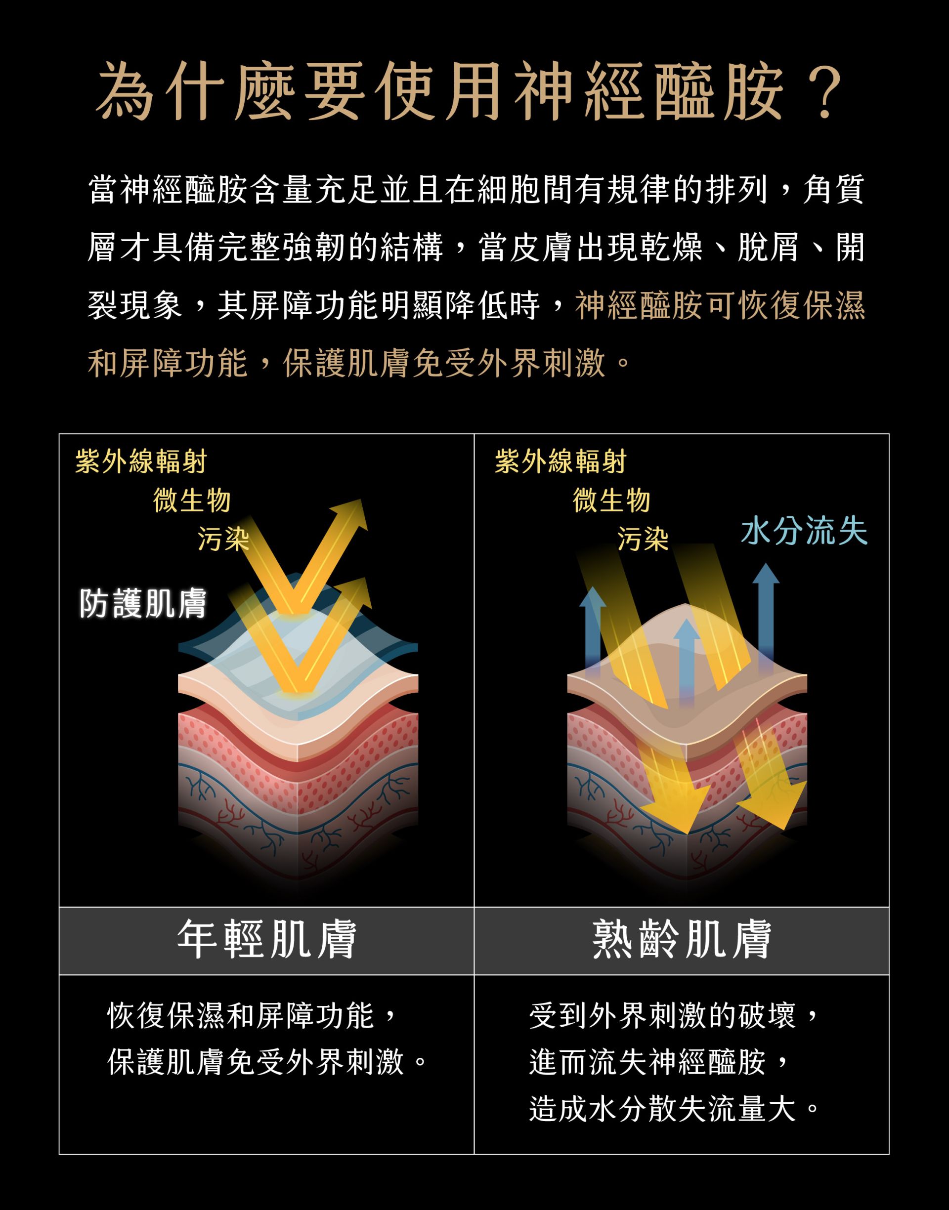 神經醯氨05-為何使用 神經醯氨05-為何使用
